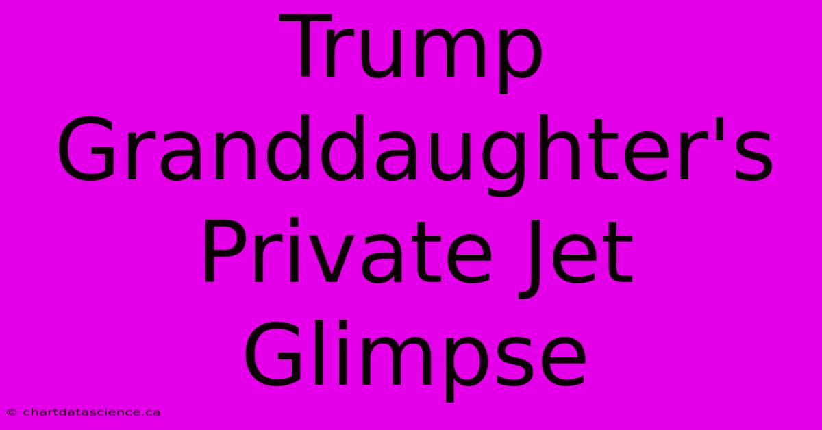 Trump Granddaughter's Private Jet Glimpse