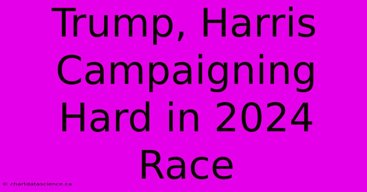 Trump, Harris Campaigning Hard In 2024 Race 