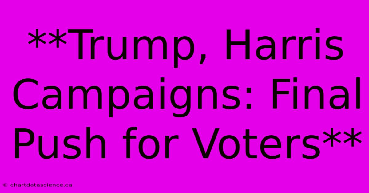 **Trump, Harris Campaigns: Final Push For Voters**