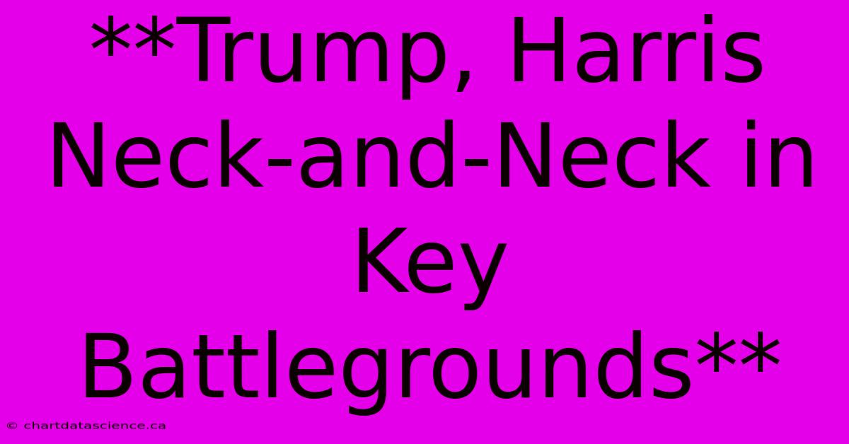 **Trump, Harris Neck-and-Neck In Key Battlegrounds** 