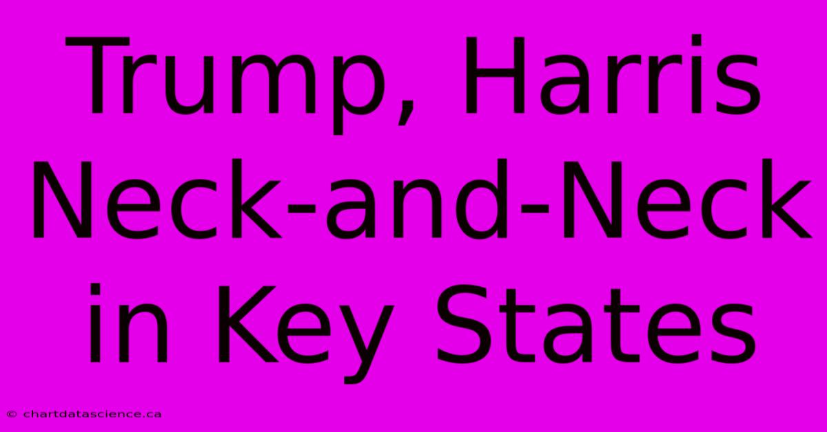 Trump, Harris Neck-and-Neck In Key States