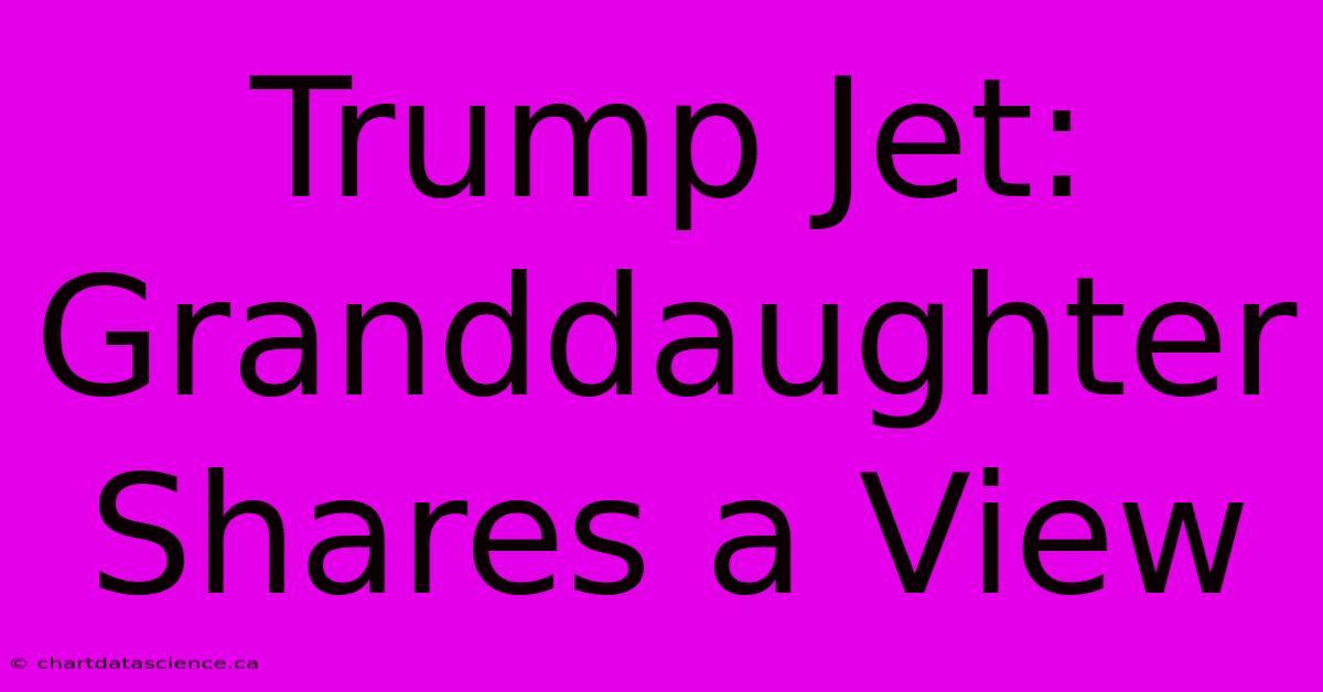 Trump Jet: Granddaughter Shares A View