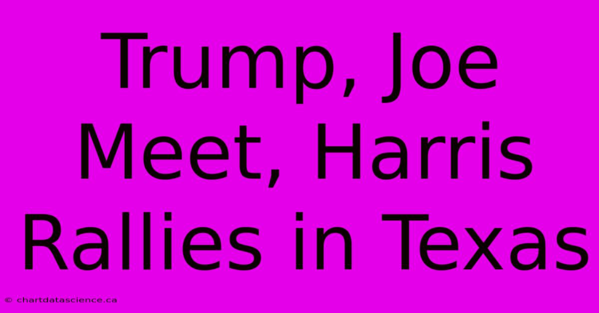 Trump, Joe Meet, Harris Rallies In Texas 