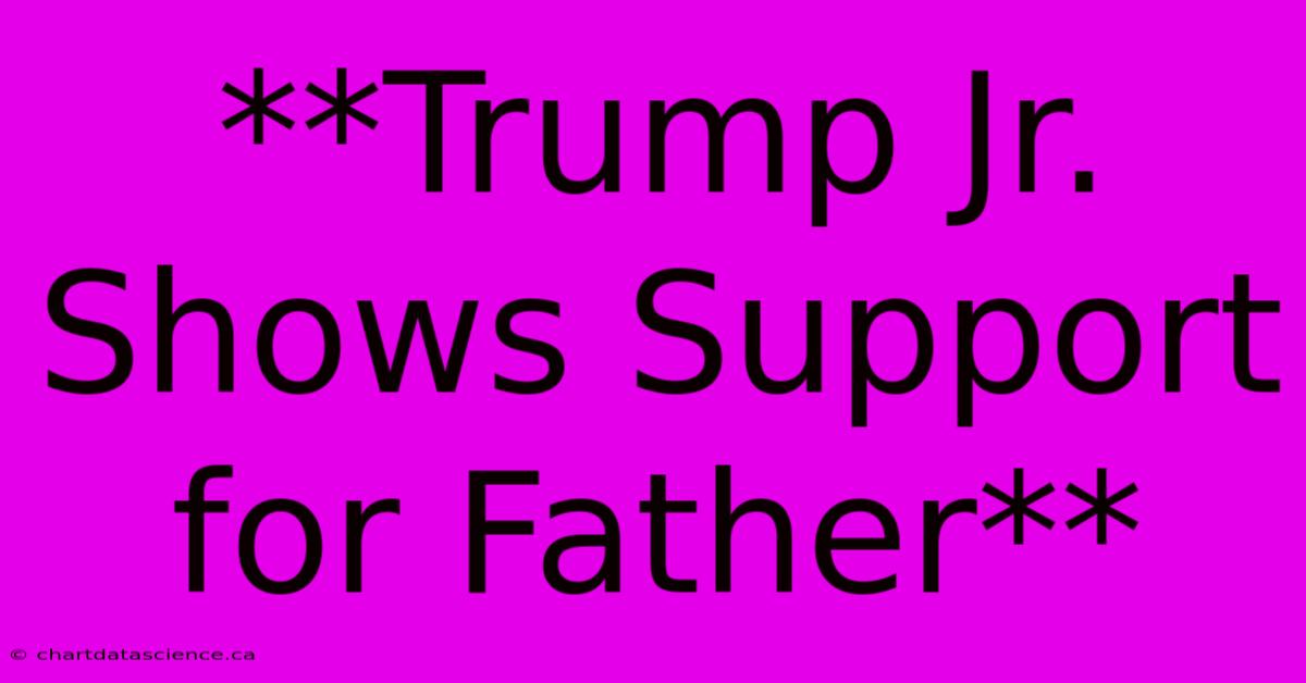 **Trump Jr. Shows Support For Father**