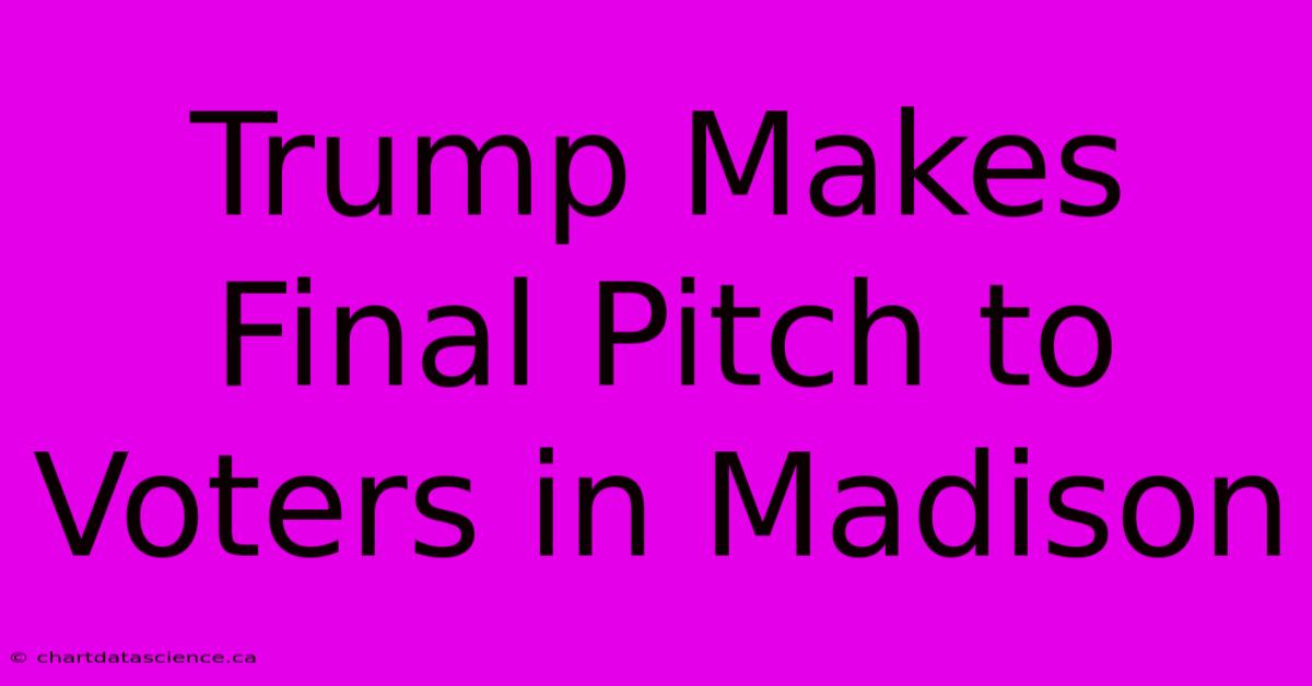 Trump Makes Final Pitch To Voters In Madison