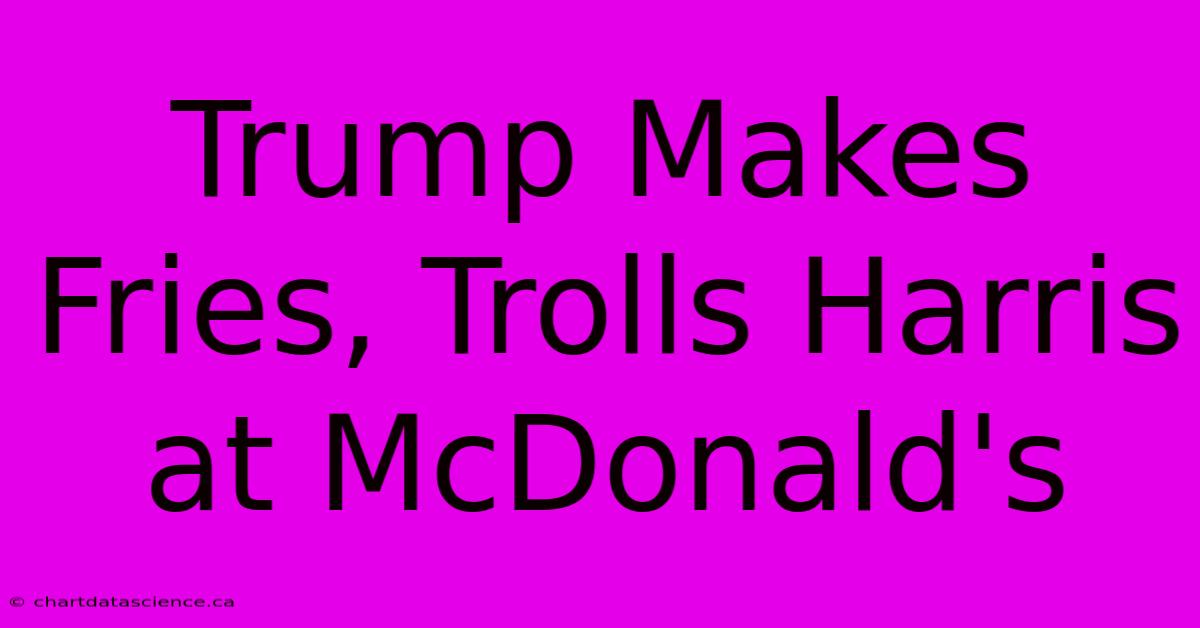 Trump Makes Fries, Trolls Harris At McDonald's