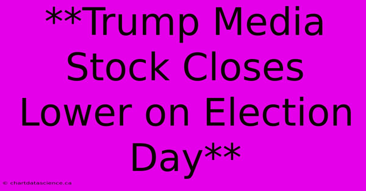 **Trump Media Stock Closes Lower On Election Day** 