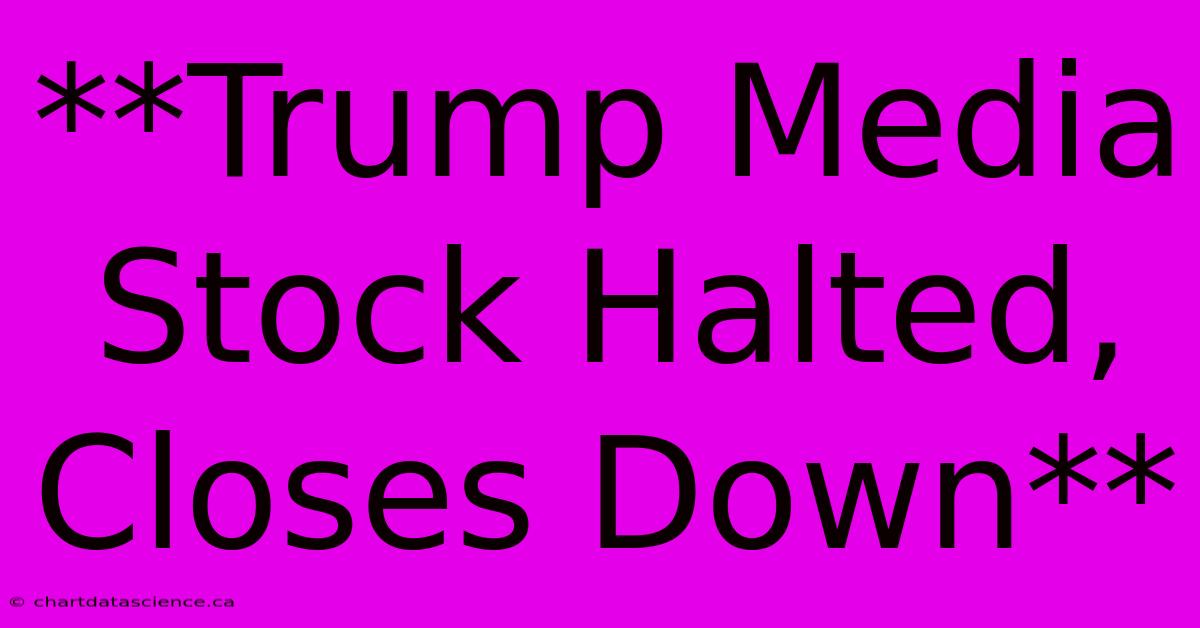 **Trump Media Stock Halted, Closes Down**