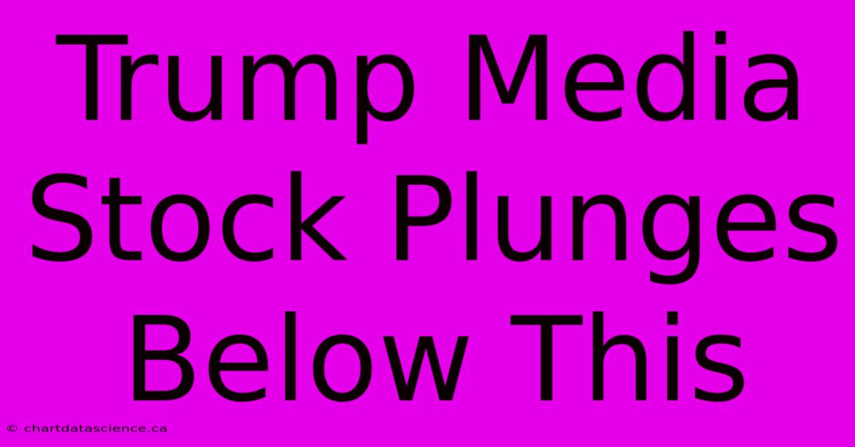 Trump Media Stock Plunges Below This