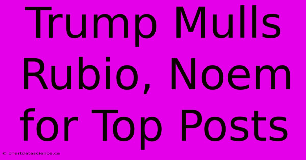 Trump Mulls Rubio, Noem For Top Posts