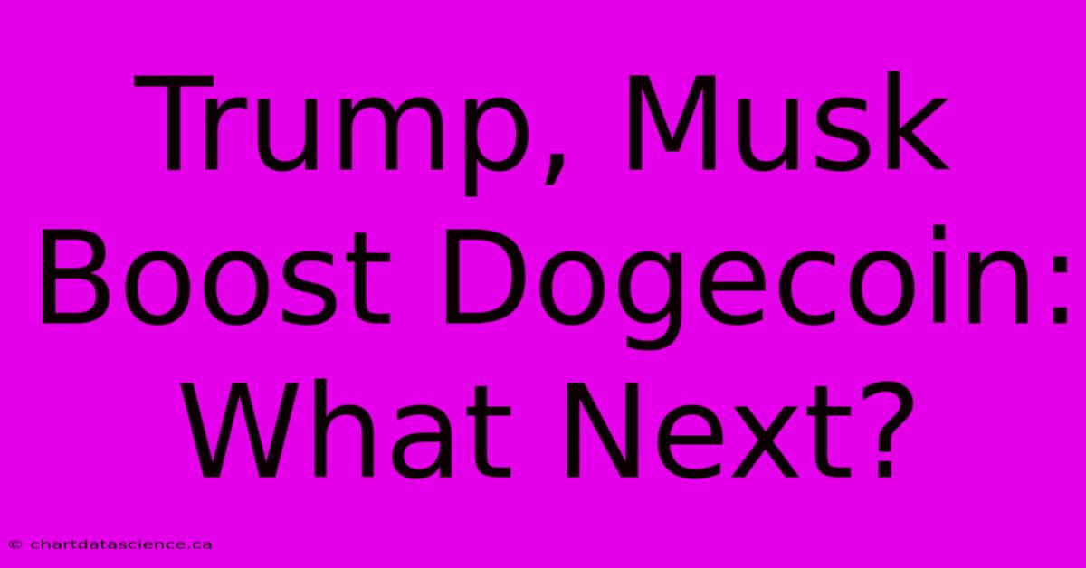 Trump, Musk Boost Dogecoin: What Next?