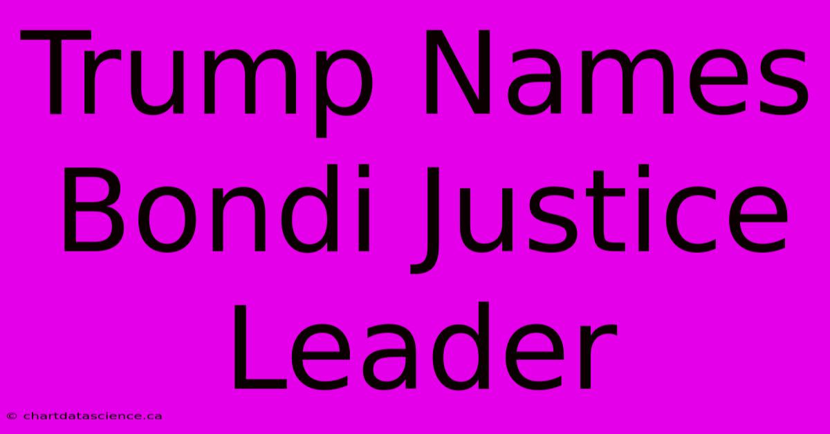 Trump Names Bondi Justice Leader