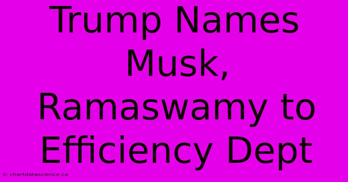 Trump Names Musk, Ramaswamy To Efficiency Dept