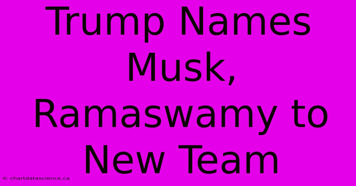 Trump Names Musk, Ramaswamy To New Team