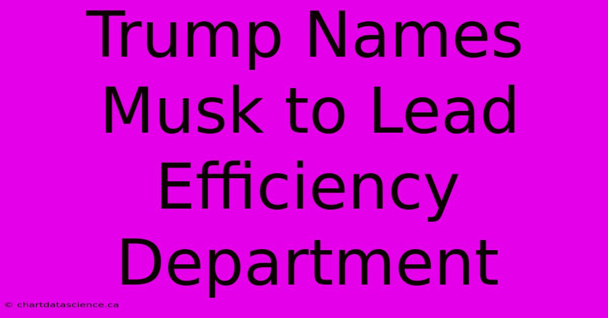 Trump Names Musk To Lead Efficiency Department