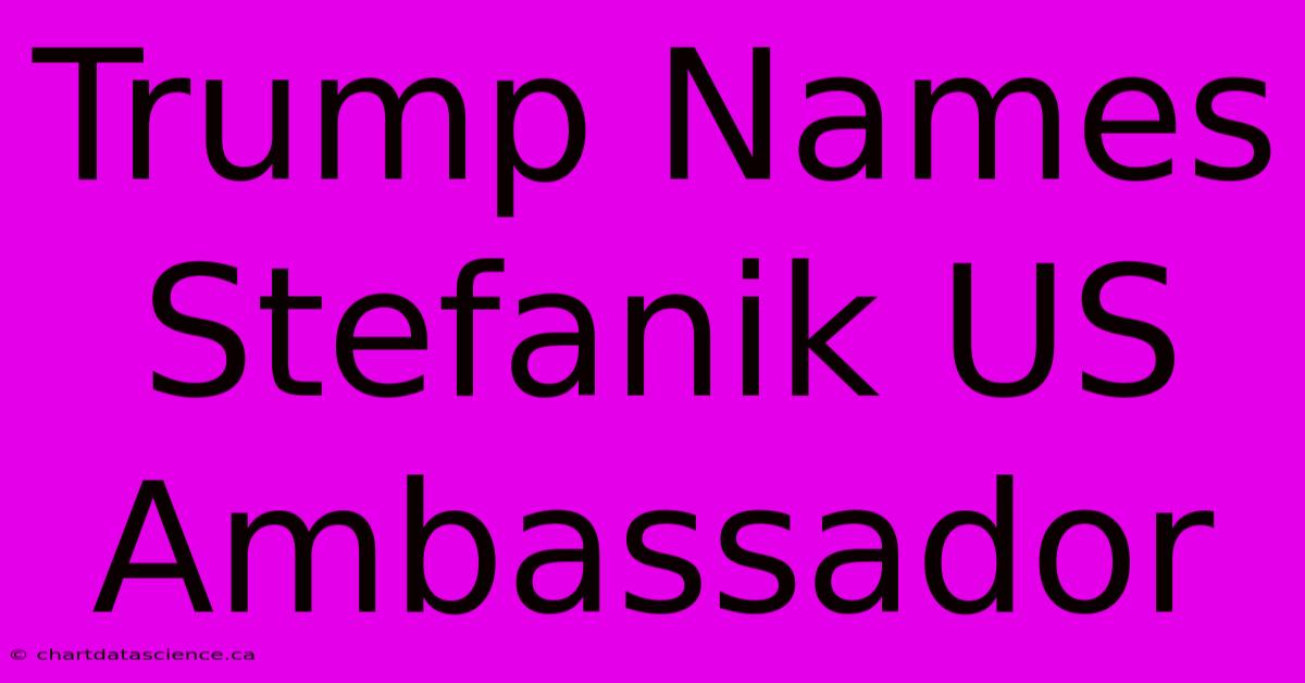 Trump Names Stefanik US Ambassador