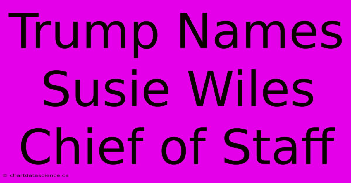 Trump Names Susie Wiles Chief Of Staff