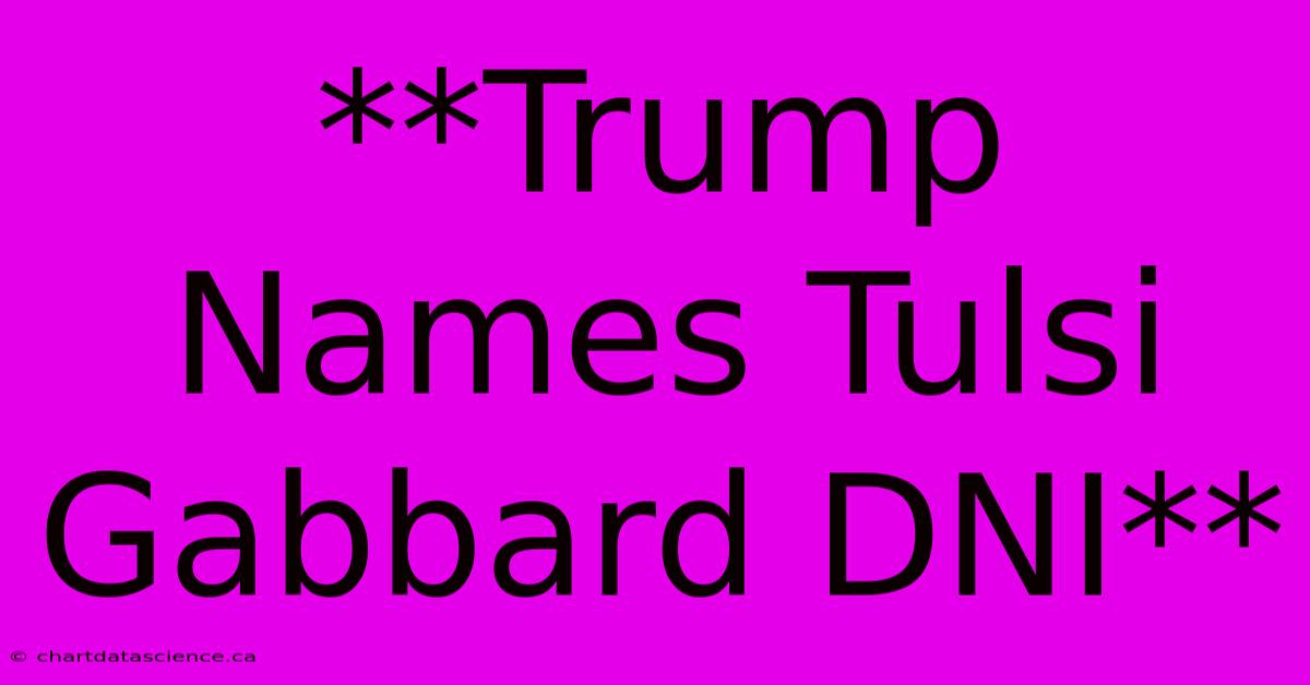 **Trump Names Tulsi Gabbard DNI**