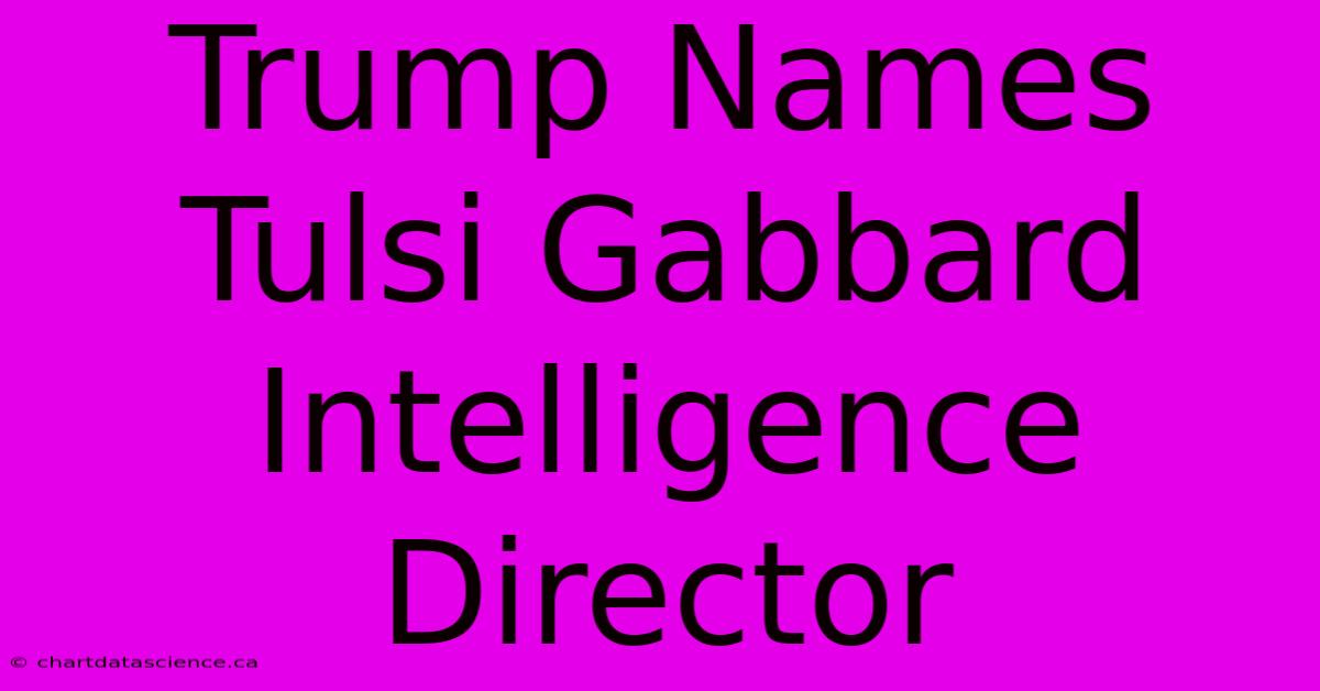 Trump Names Tulsi Gabbard Intelligence Director 