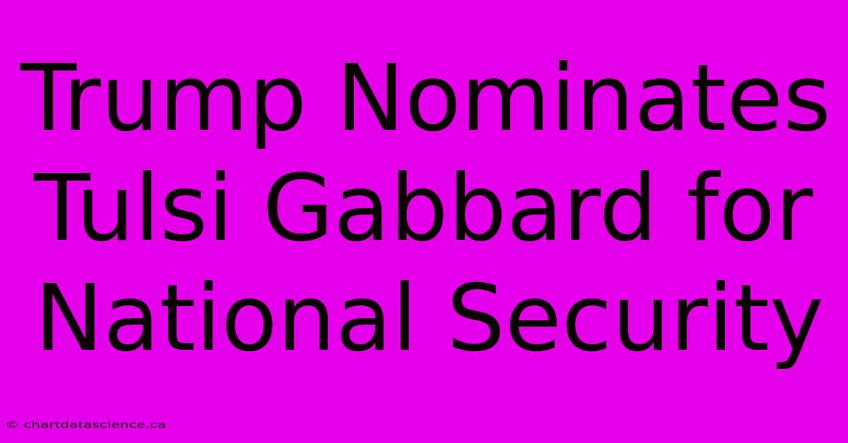 Trump Nominates Tulsi Gabbard For National Security