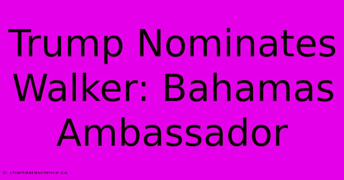 Trump Nominates Walker: Bahamas Ambassador