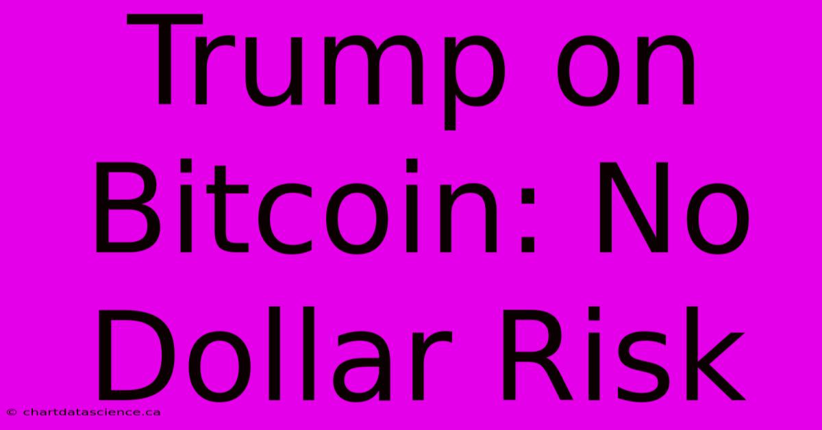 Trump On Bitcoin: No Dollar Risk