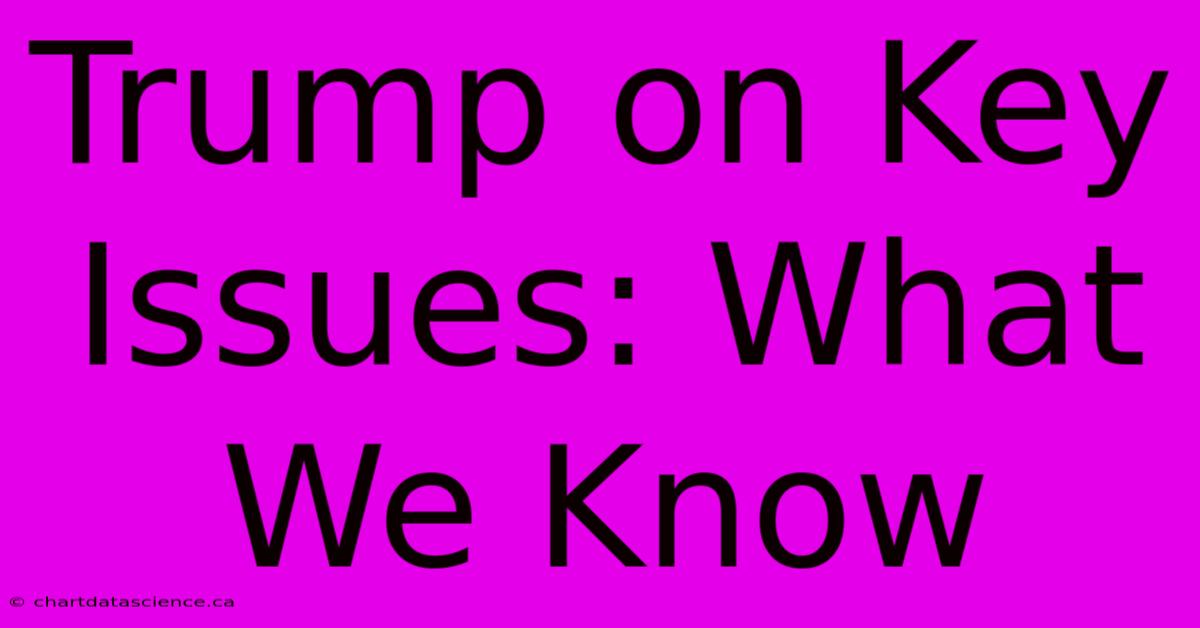 Trump On Key Issues: What We Know