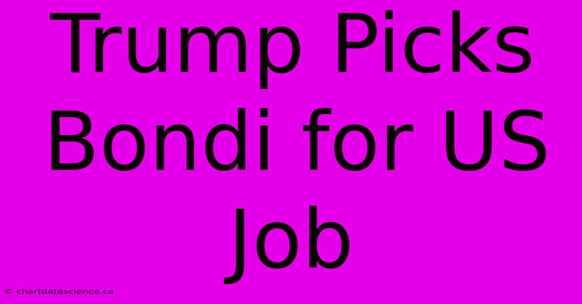 Trump Picks Bondi For US Job