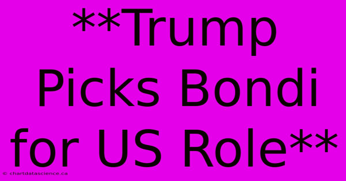 **Trump Picks Bondi For US Role**