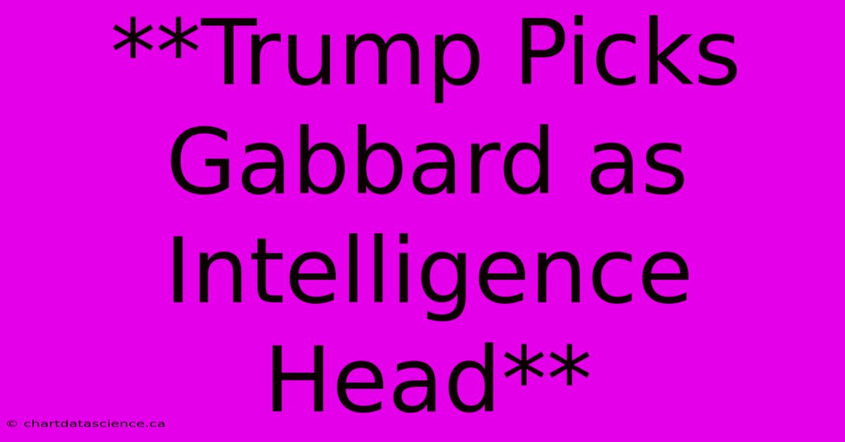 **Trump Picks Gabbard As Intelligence Head**