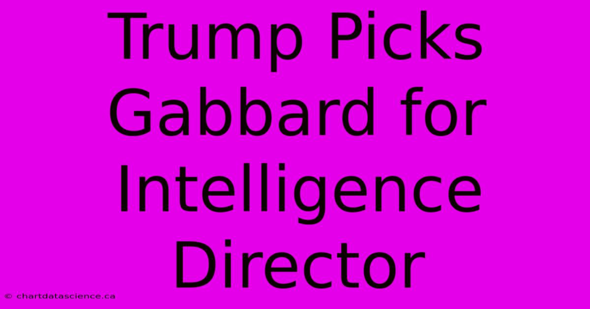 Trump Picks Gabbard For Intelligence Director 