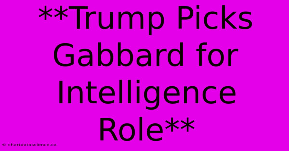 **Trump Picks Gabbard For Intelligence Role**