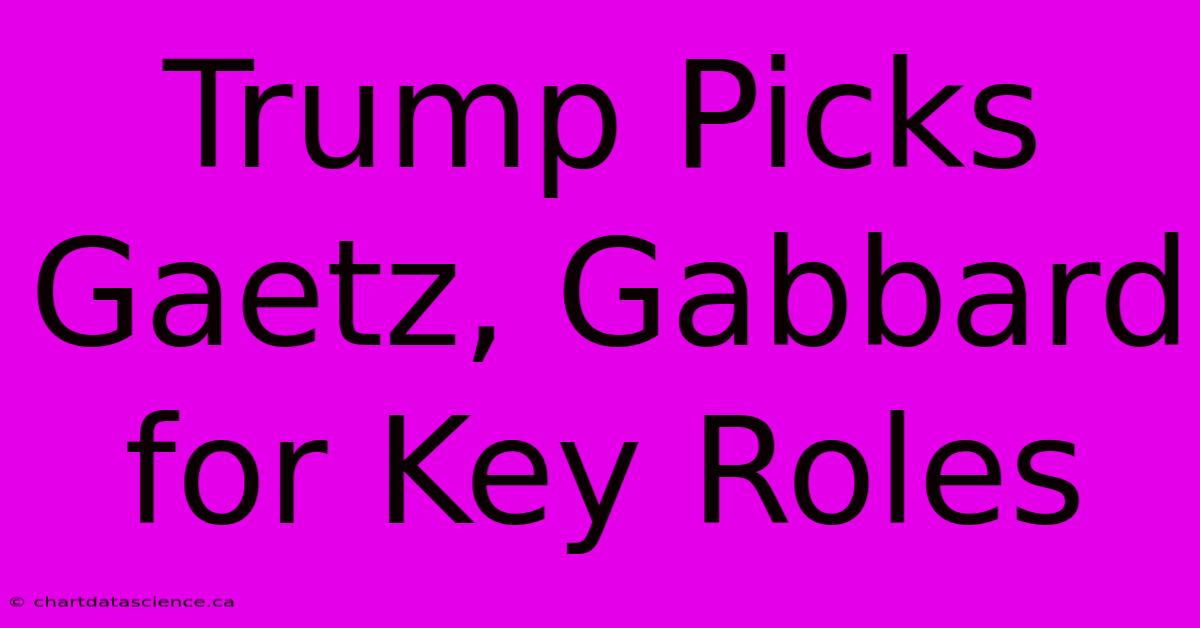 Trump Picks Gaetz, Gabbard For Key Roles