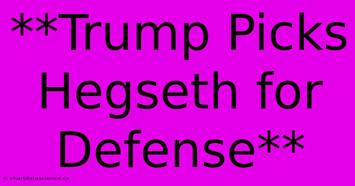 **Trump Picks Hegseth For Defense**