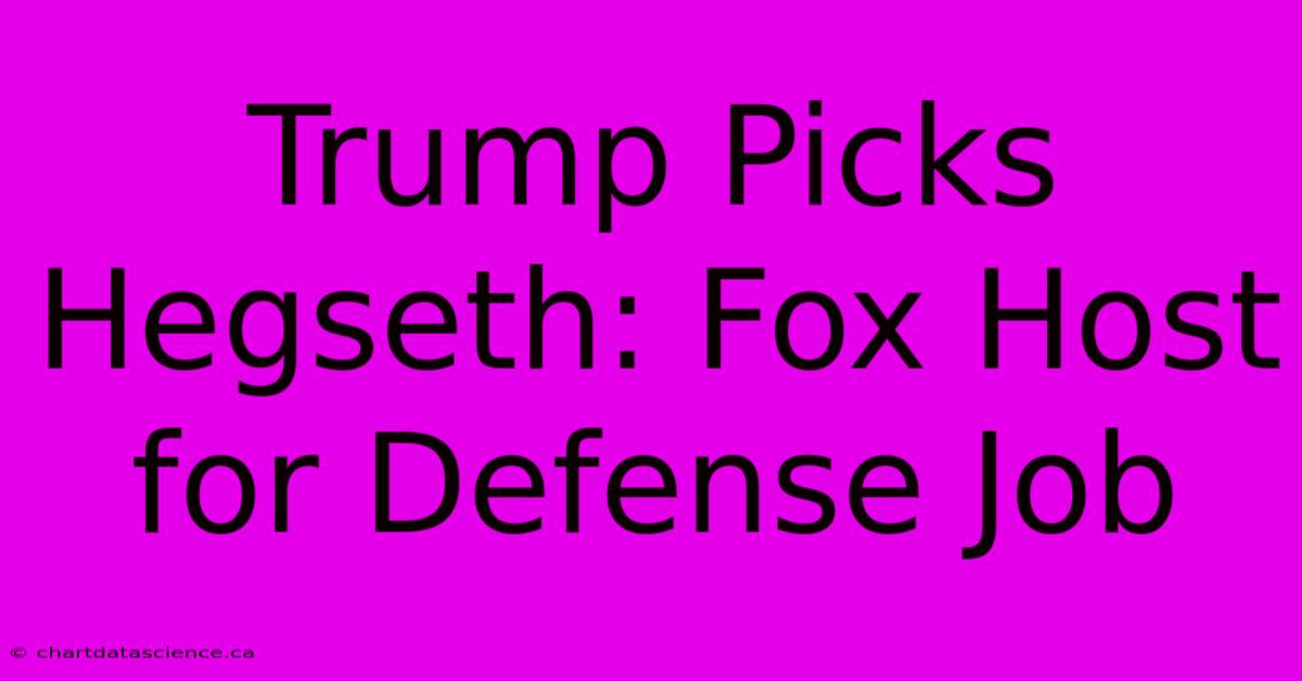 Trump Picks Hegseth: Fox Host For Defense Job 