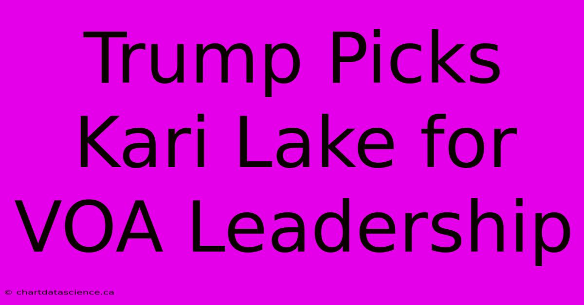 Trump Picks Kari Lake For VOA Leadership