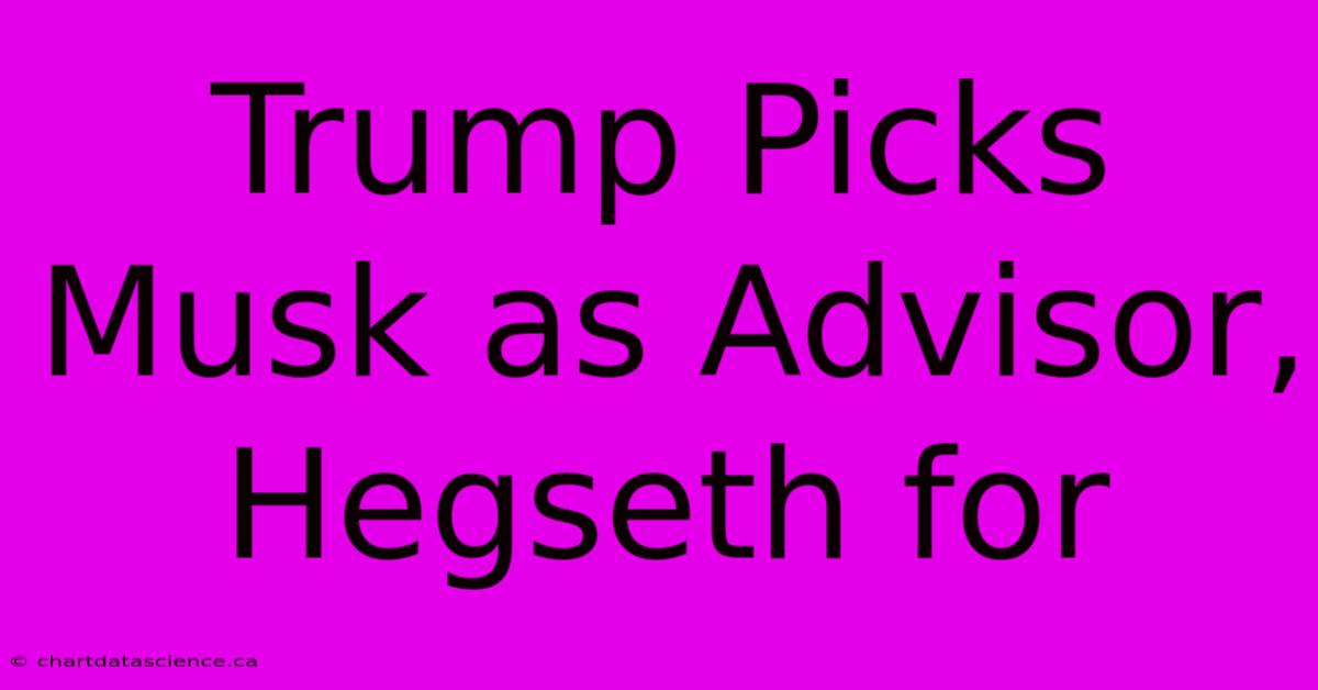 Trump Picks Musk As Advisor, Hegseth For 