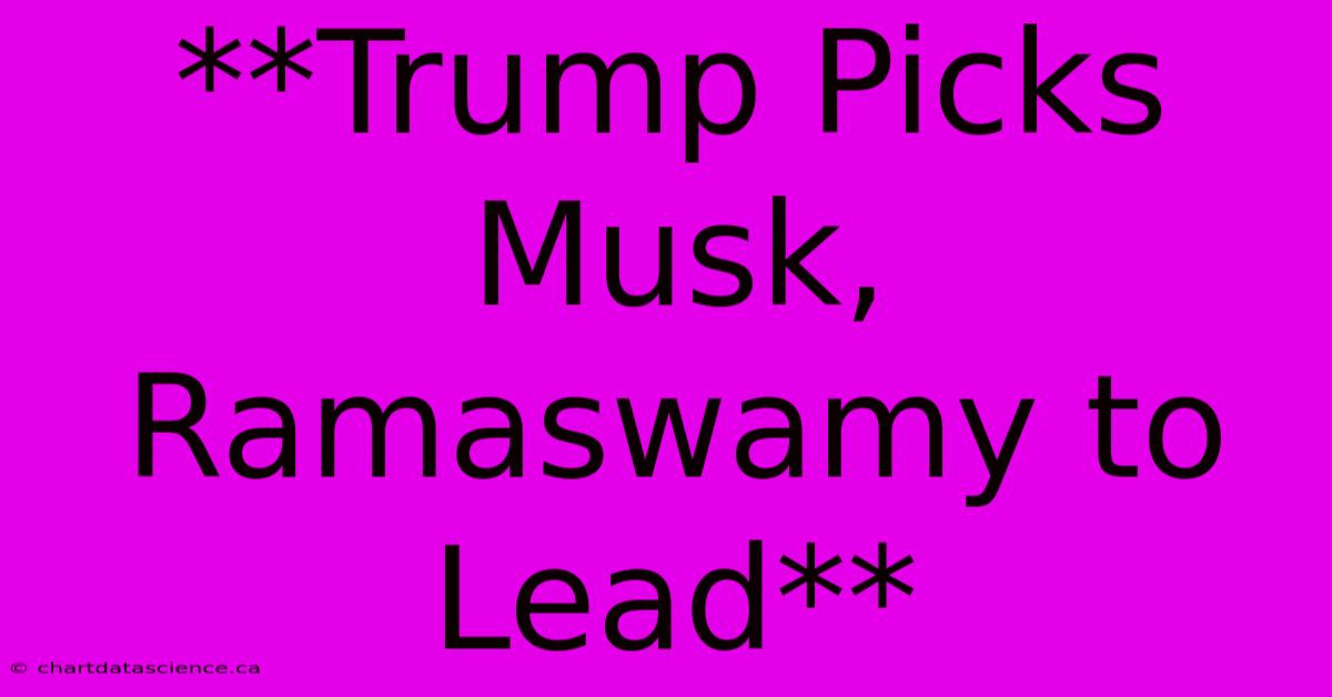 **Trump Picks Musk, Ramaswamy To Lead**