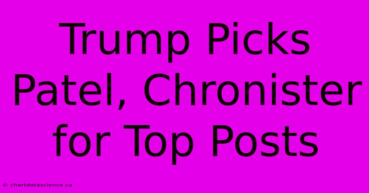 Trump Picks Patel, Chronister For Top Posts