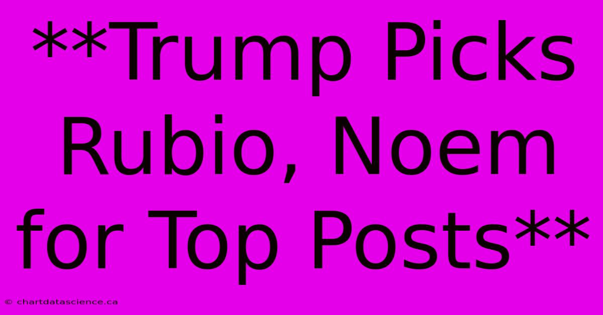 **Trump Picks Rubio, Noem For Top Posts**