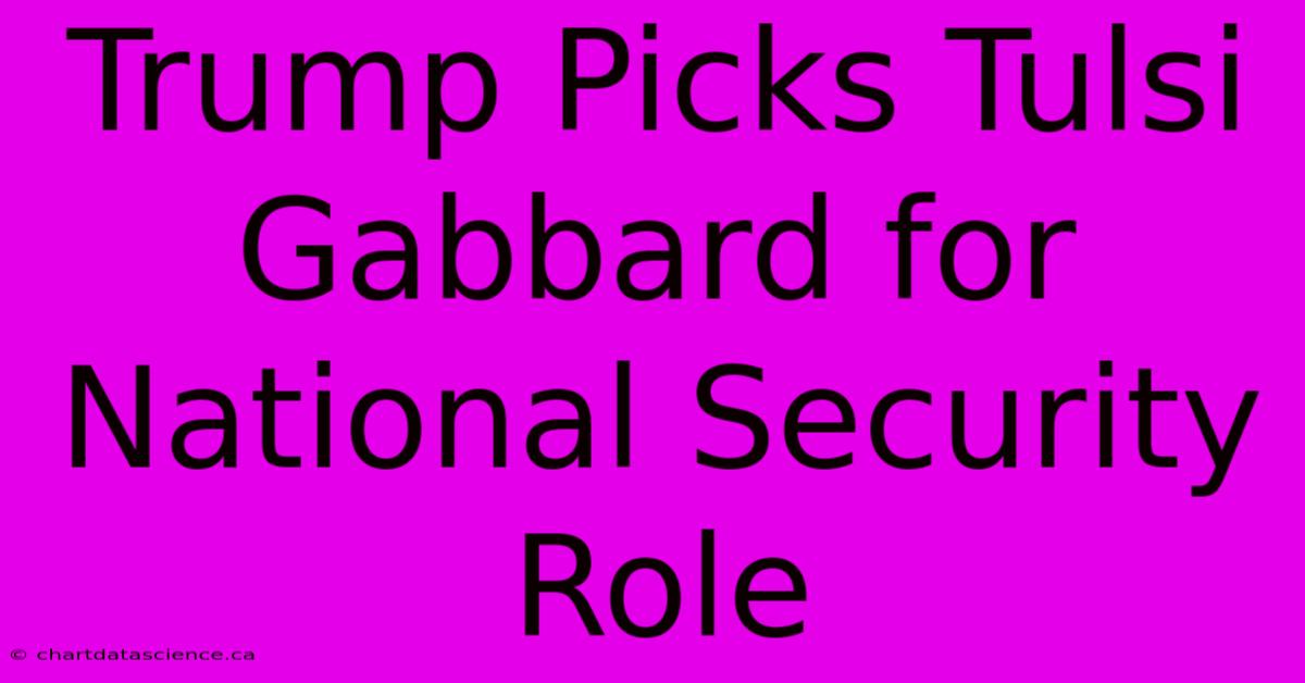 Trump Picks Tulsi Gabbard For National Security Role