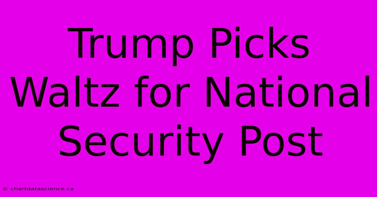 Trump Picks Waltz For National Security Post 