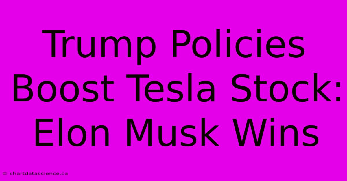 Trump Policies Boost Tesla Stock: Elon Musk Wins