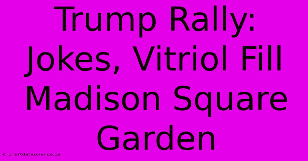 Trump Rally: Jokes, Vitriol Fill Madison Square Garden