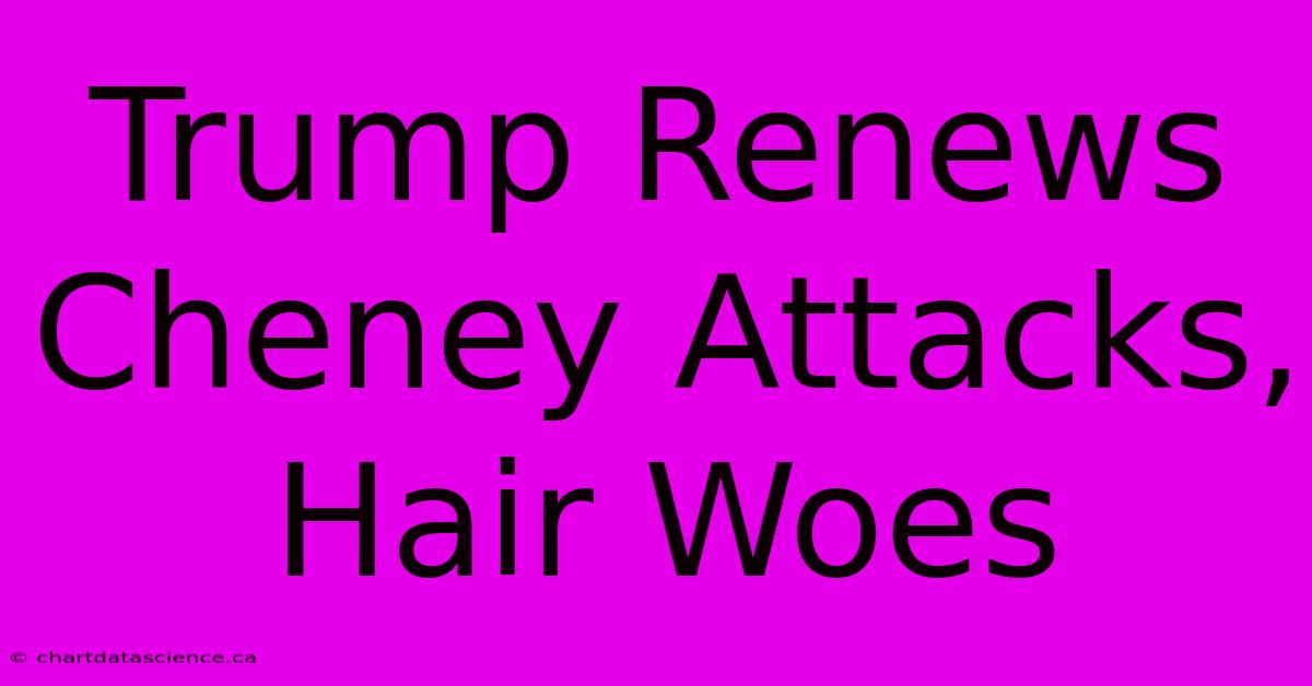 Trump Renews Cheney Attacks, Hair Woes