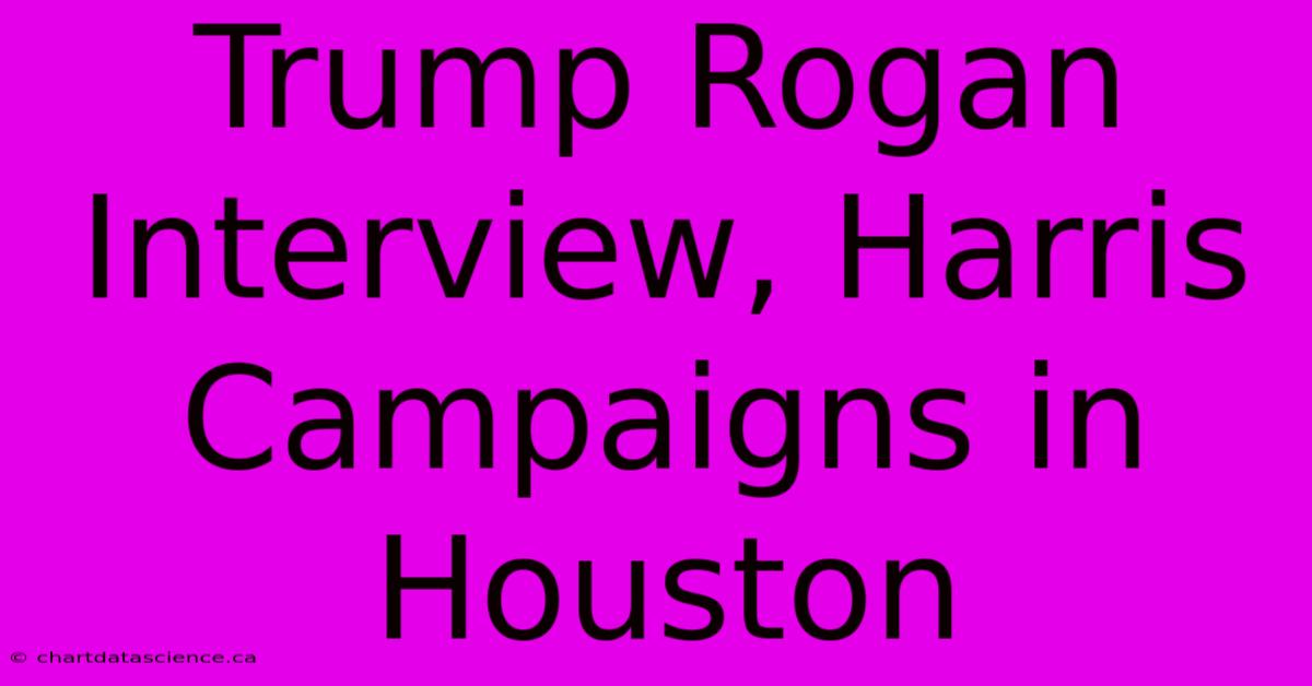 Trump Rogan Interview, Harris Campaigns In Houston