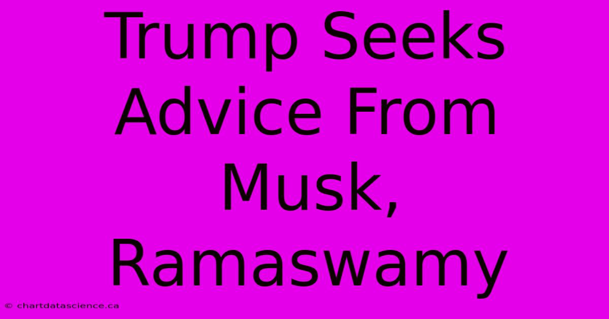 Trump Seeks Advice From Musk, Ramaswamy