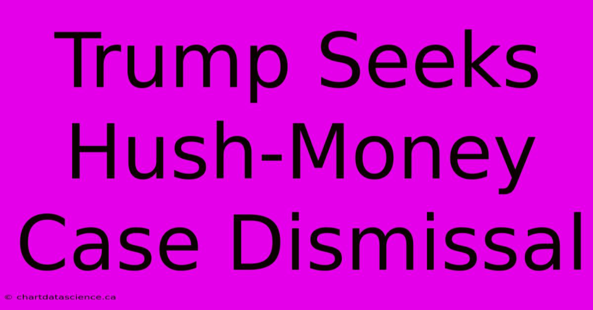 Trump Seeks Hush-Money Case Dismissal