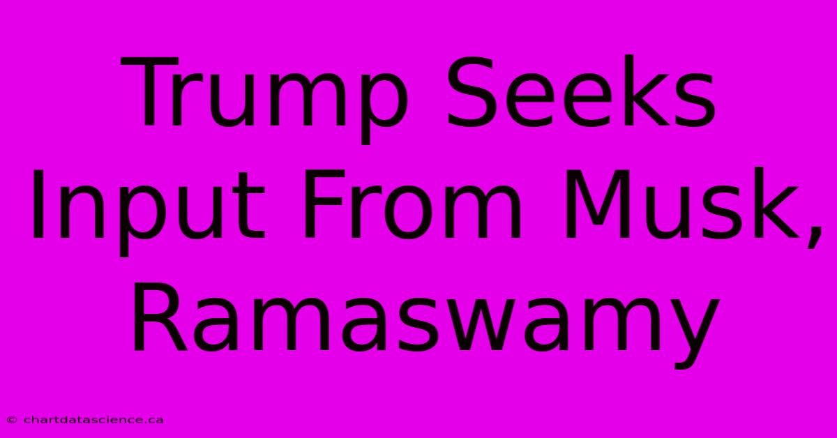 Trump Seeks Input From Musk, Ramaswamy 