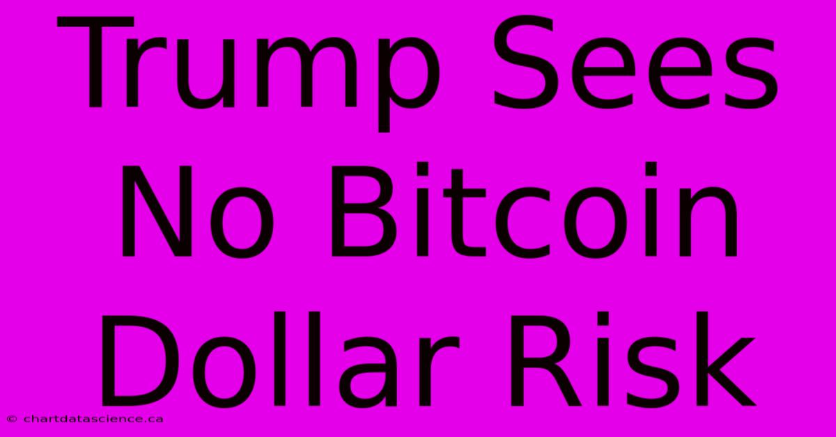 Trump Sees No Bitcoin Dollar Risk